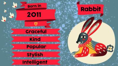 A rabbit and flags with text "Born in 2011. Graceful, Kind, Popular, Stylish, Intelligent"