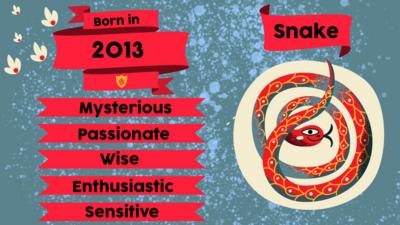 A snake and flags with text "Born in 2013. Mysterious, Passionate, Wise, Enthusiastic, Sensitive" 