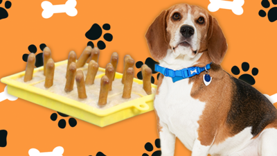 Blue Peter - Make your pooch a tasty ice lolly