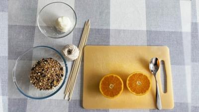 step by step guides for making bird feeders out of an orange and an empty drinks carton