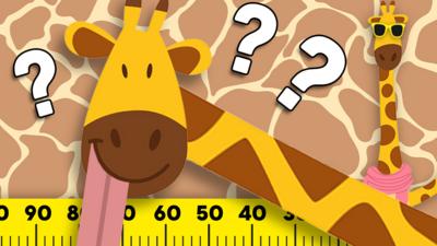 Blue Peter - How long is a giraffe's tongue? 