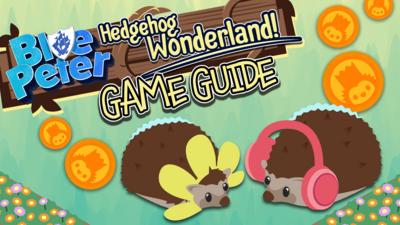 Blue Peter - Hedgehog Wonderland: game guide