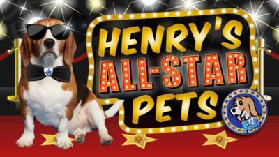 Blue Peter - Henry's All-Star Pets!