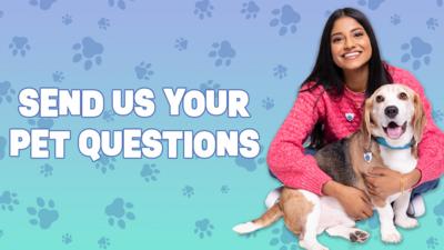 Blue Peter - Send us your pet questions