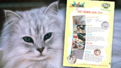 Pet School - Make a Cat Fishing Rod Toy