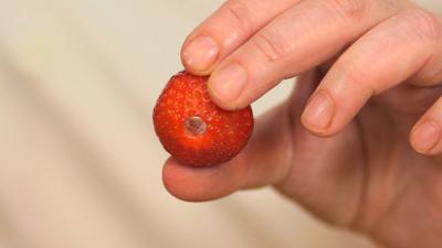 Ctv Dish Up - How to de-stem strawberries