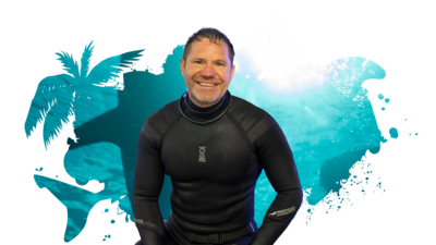 Steve Backshall, surrounded by water and sharks.
