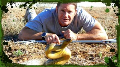 Deadly 60 - The most venomous snake on Earth!