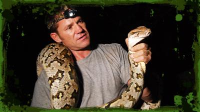 Deadly 60 - Rock python tussle