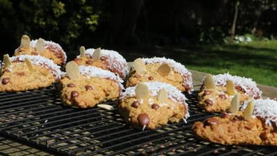 Matilda and the Ramsay Bunch - Coconut Milly Mice Biscuits