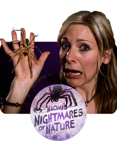 A woman with long blonde hair looks shocked with an open mouth as she holds a spider in her hand (Naomi Wilkinson)