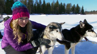 Naomi's Nightmares of Nature - Naomi's Husky Dog Nightmare