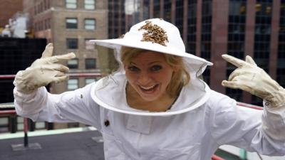Naomi's Nightmares of Nature - Naomi's Honey Bee Nightmare