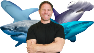 Steve Backshall with his arms folded with four sharks behind him.