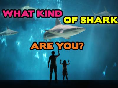 Saturday Mash-Up! - QUIZ: What Type Of Shark Are You?