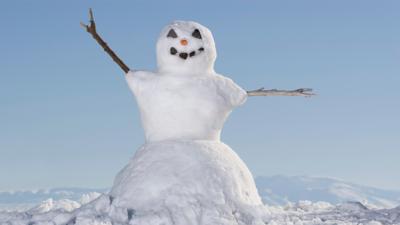 School Survival Guide - Your: Fun stuff to do on a snow day