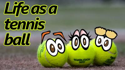 tv Sport - Life as a Tennis Ball