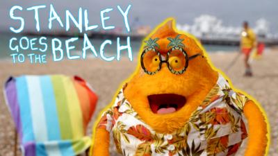 Saturday Mash-Up! - Stanley goes to the beach!