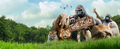 The Zoo - CBBC - BBC