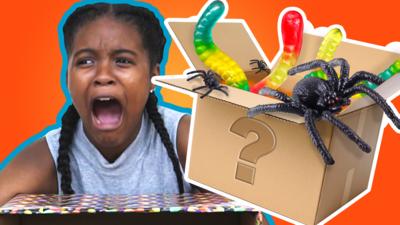 Top This - Top This: What's in the Box Challenge