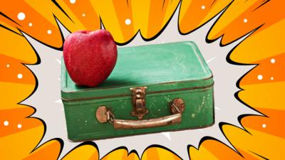 School Survival Guide - What would be in your ultimate packed lunch?