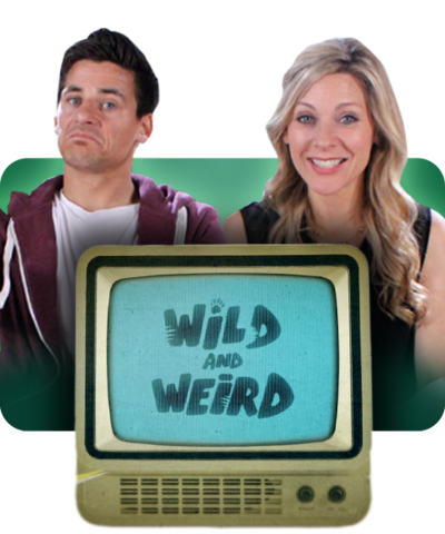 Wild and Weird / Tim Warwood and Naomi Wilkinson