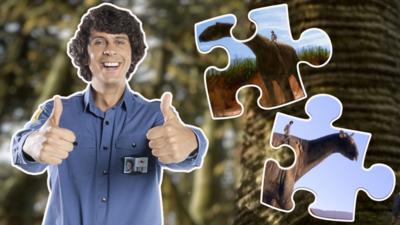 Andy's Prehistoric Adventures - Andy's Prehistoric Adventures Jigsaw