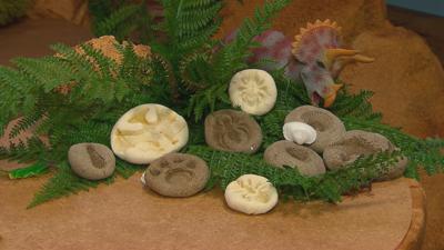 CBeebies House - Making a Fossil