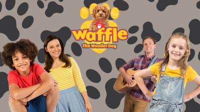 Waffle the Wonder Dog - Which Member of the Brooklyn-Bells are you?