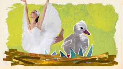 Ugly Duckling - The Swan Queen's costume