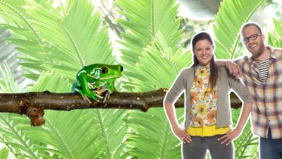 My Pet and Me - Tree Frogs