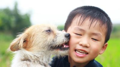 My Pet and Me - Teaching kids to care for animals