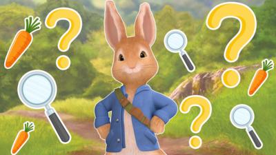 Peter Rabbit - Peter Rabbit: Fun Bunny Facts Quiz