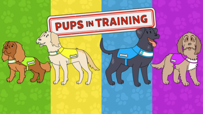 Dog Squad - Get to know the Pups in Training