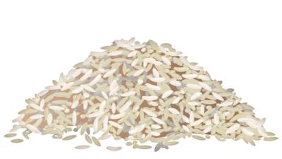 A cartoon pile of rice