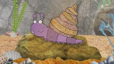 Old Jack's Boat: Rockpool Tales - Meet Sidney the Snail