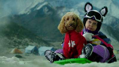 Download Waffle the Wonder Dog - CBeebies - BBC