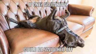 'If only grownups could be switched off'