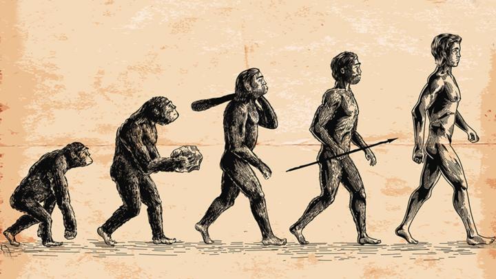 what is darwins theory of evolution bbc bitesize
