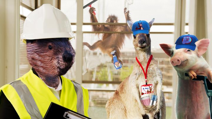 If animals had human jobs... - CBBC - BBC