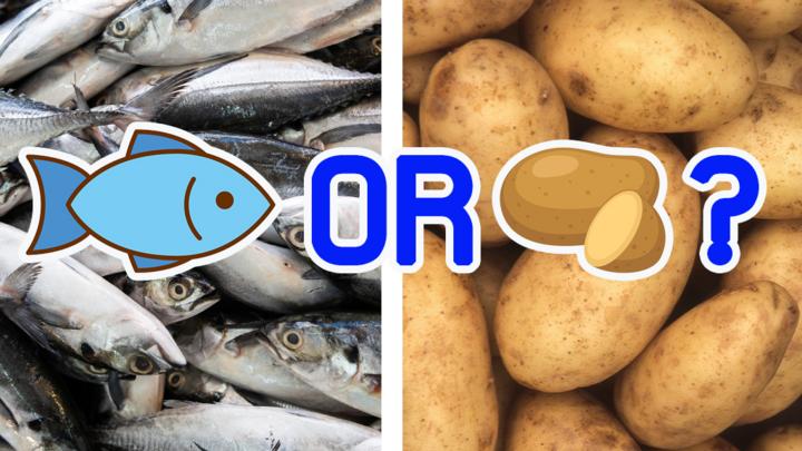 Fish and chips quiz Do you know your fish from your