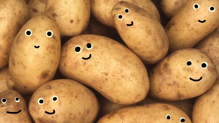 Funny Potato Pictures