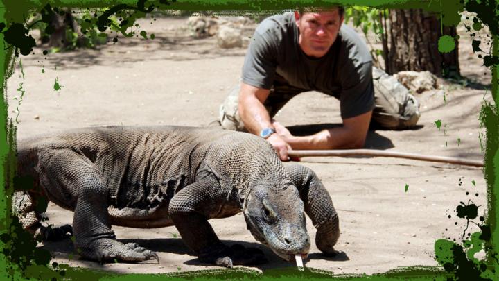 Komodo Dragons Chase - CBBC - BBC