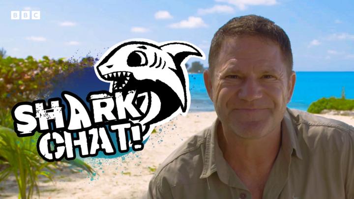 Steve Backshall Answers Your Shark Questions Cbbc Bbc 