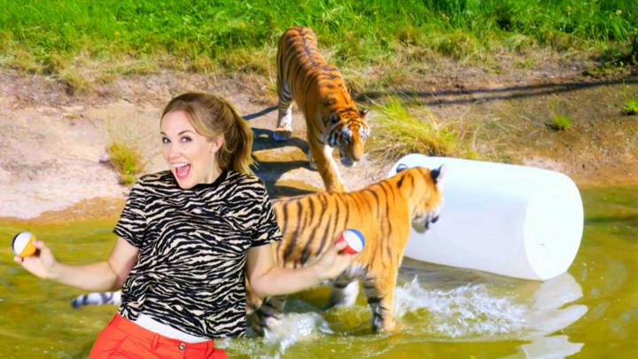 Lick You From Your Head To Your Toes Song From Your Head To Your Toes Song - CBeebies - BBC
