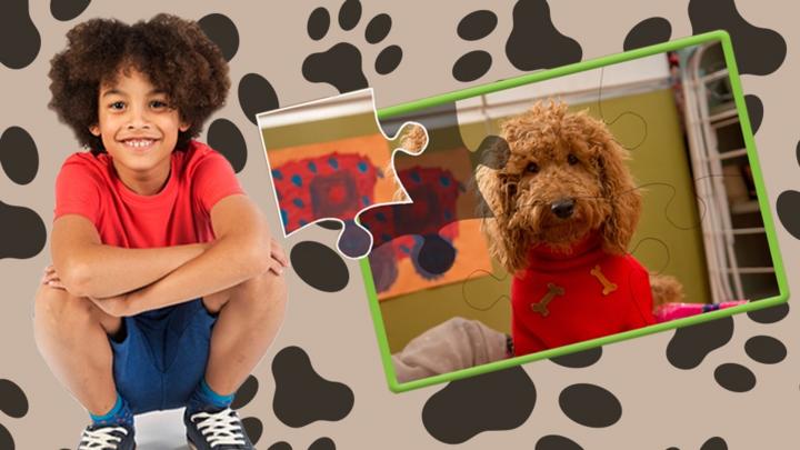 Míreanna Mearaí Waffle the Wonder Dog - CBeebies - BBC