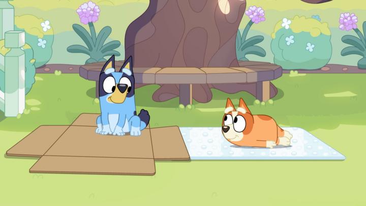 Flat Pack - Watch Bluey on CBeebies - CBeebies - BBC