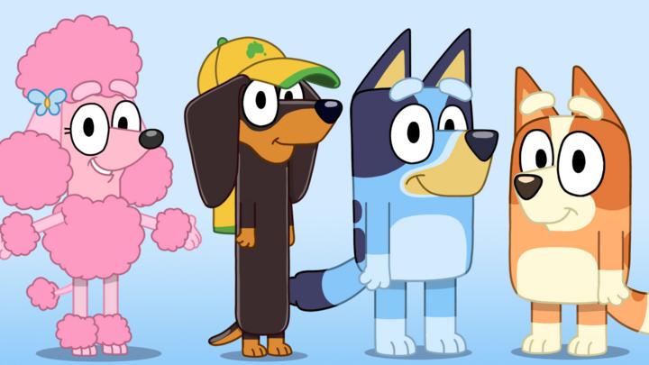 Which Bluey character are you? - CBeebies - BBC