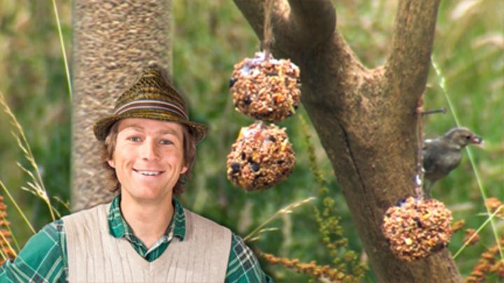 Bird Feeder Cbeebies Bbc