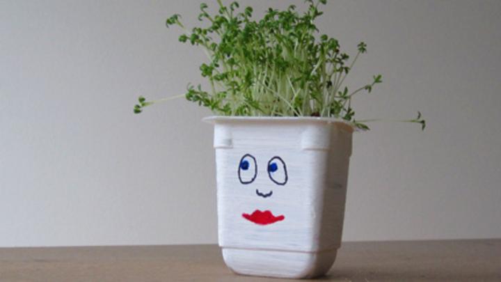 Growing Cress Heads - Messy Little Monster